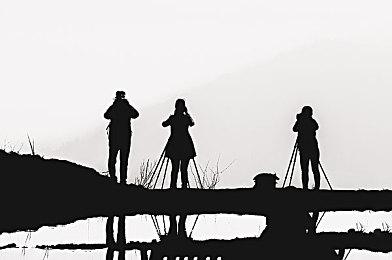 因爱蛙人士抗议 《我的世界》1.19版本将移除萤火虫